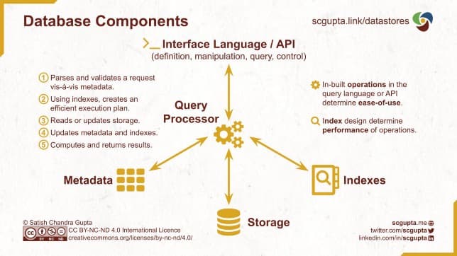 Database Components: interface language, query processor, storage, indexes, and metadata; and the steps performed by the query processor.